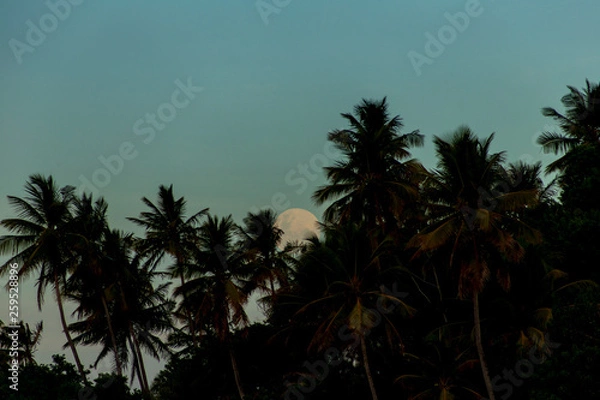 Fototapeta Lua Cheia 