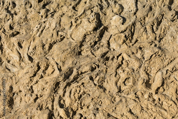 Obraz light brown rock, texture, background