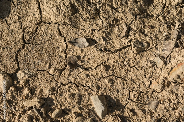 Obraz dry earth, texture, background