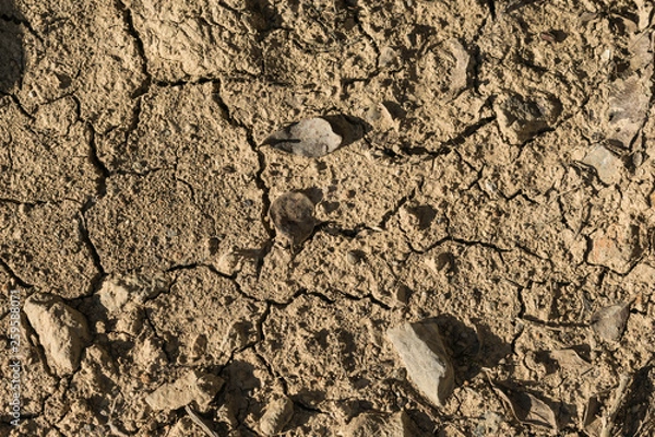 Obraz dry earth, texture, background