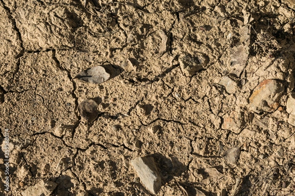 Obraz dry earth, texture, background