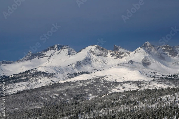 Obraz winter in the mountains