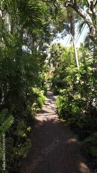 Fototapeta Garden Path 2