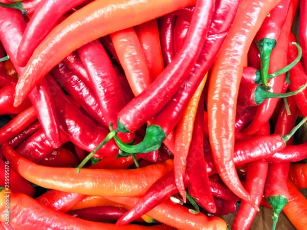 Fototapeta Red peppers background texture of red pepper, hot red pepper, red chili, seasoning paprika, fiery red pepper,