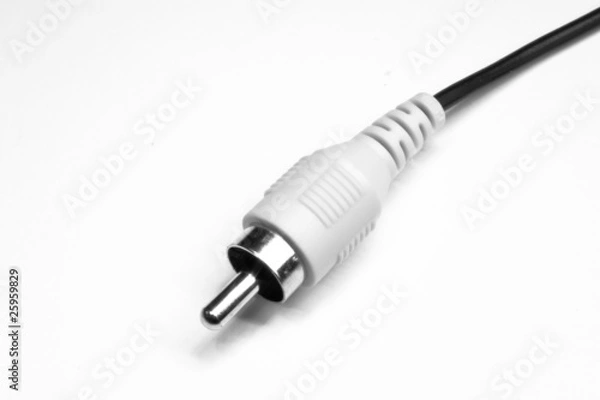 Obraz Weißer Cinchstecker