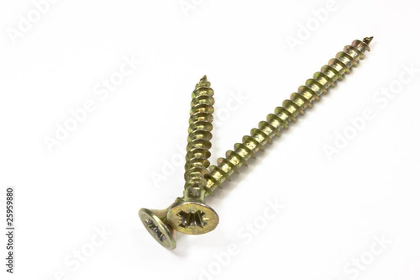 Obraz Zwei Holzschrauben