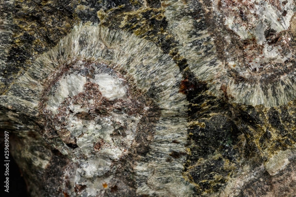 Fototapeta Macro Diopside mineral stone on black background