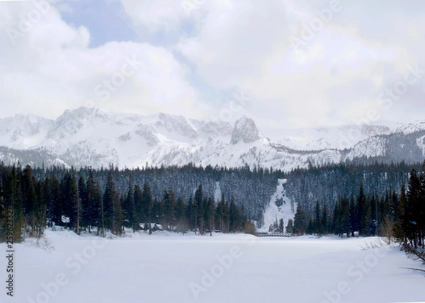 Obraz Lake in Mountains