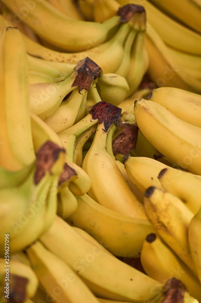 Obraz platano en mercado local