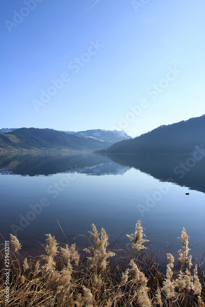 Obraz Aegerisee, Switzerland on a clear sunny day with reflections and reeds 
