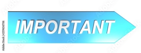 Obraz IMPORTANT on blue arrow - 3D rendering