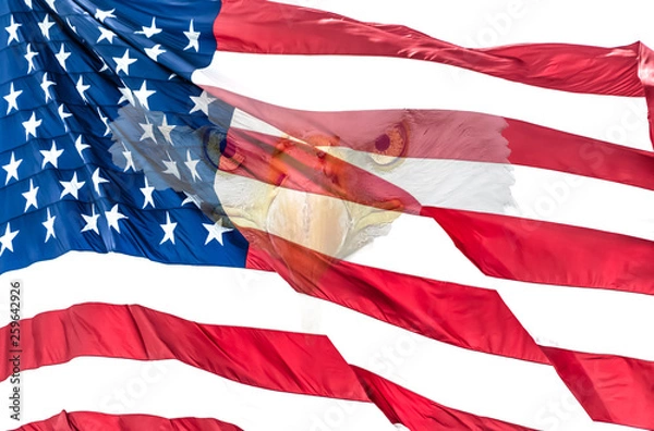 Fototapeta Closeup of American Flag with Bald Eagle ghosted onto the surface of the flag, staring directly into the camera. Bright colors of the American Flag.