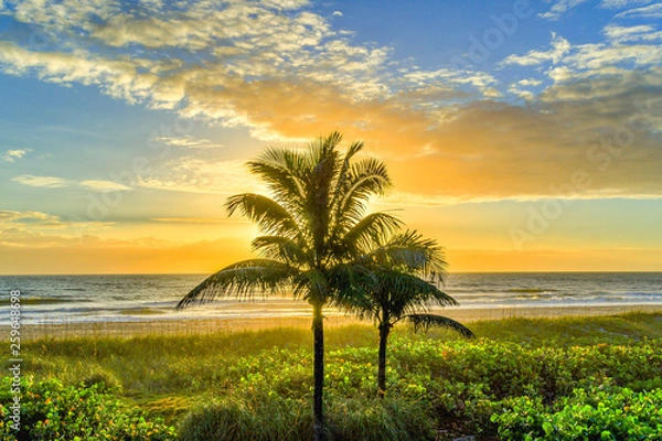 Obraz Lone Palm Tree at Sunrise on Cocoa Beach, Florida