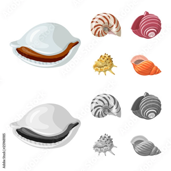 Fototapeta set of sea shells