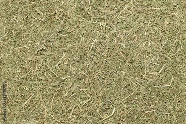 Fototapeta A country farming themed wallpaper background of dried straw grass hay with copy space for your text or picture