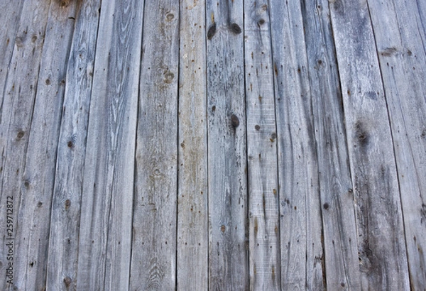Obraz Wooden background in white and gray. Wood surface in vintage tone. Smooth light natural wood texture