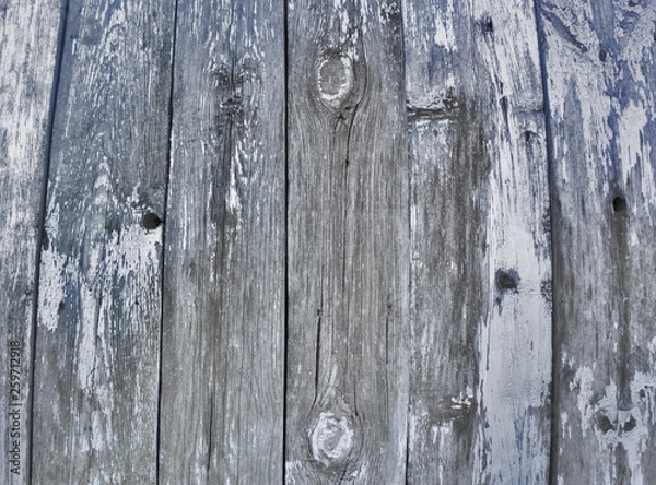 Obraz Wooden background in white and gray. Wood surface in vintage tone. Smooth light natural wood texture
