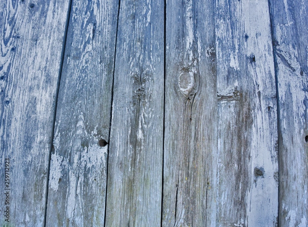 Obraz Wooden background in white and gray. Wood surface in vintage tone. Smooth light natural wood texture