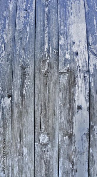 Obraz Wooden background in white and gray. Wood surface in vintage tone. Smooth light natural wood texture