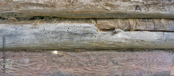 Obraz beautiful wooden wall of logs