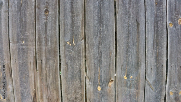 Obraz Wooden background in white and gray. Wood surface in vintage tone. Smooth light natural wood texture