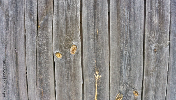Obraz Wooden background in white and gray. Wood surface in vintage tone. Smooth light natural wood texture