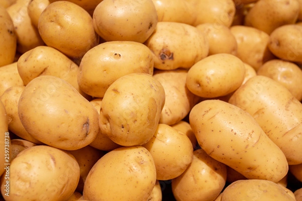 Obraz Potatoes