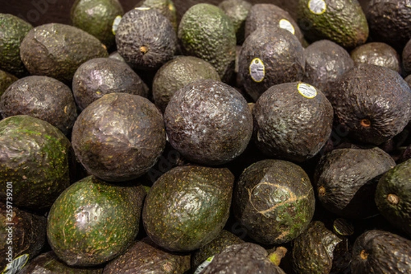 Obraz fruit on black background