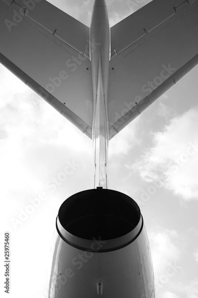Obraz Passenger airplane, view behind