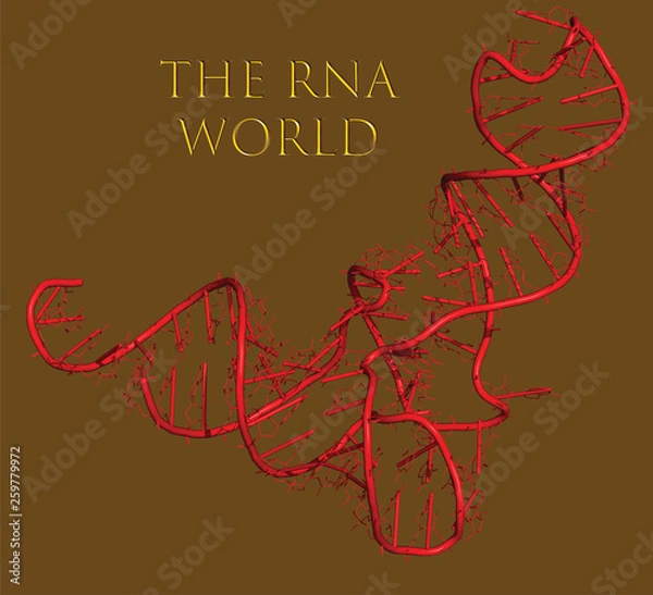 Obraz The RNA world