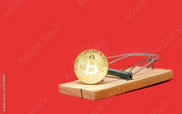 Obraz Mousetrap with gold bitcoin.