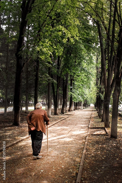 Obraz Old man with cane on the walk, Russia