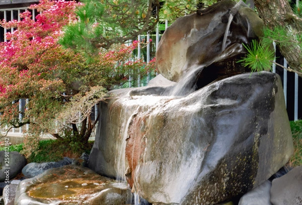 Fototapeta tree with red flowers in a garden with rocks where water flows