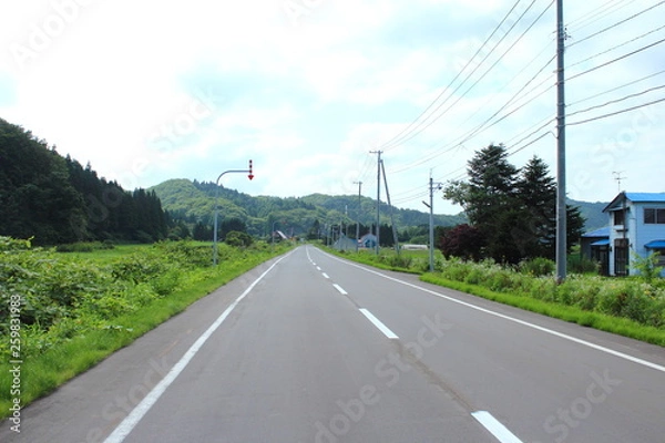 Fototapeta 北海道　風景