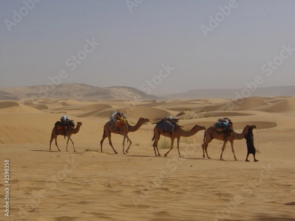 Fototapeta méharée