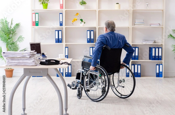 Fototapeta Aged employee in wheelchair working in the office 