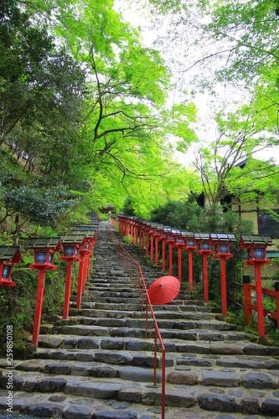 Obraz Kifune shrine(貴船神社）