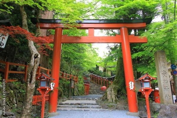 Obraz Kifune shrine(貴船神社）