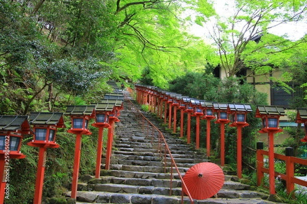 Obraz Kifune shrine(貴船神社）