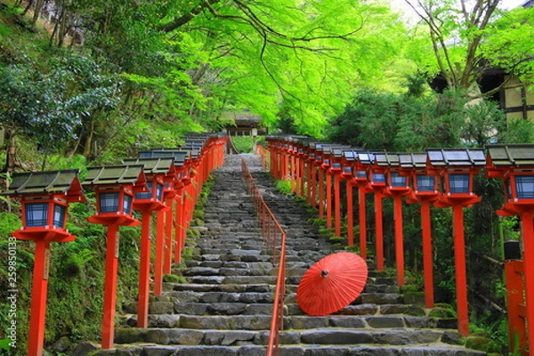 Obraz Kifune shrine(貴船神社）