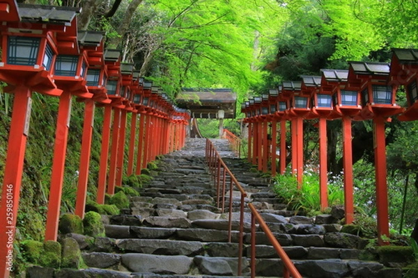 Obraz Kifune shrine(貴船神社）