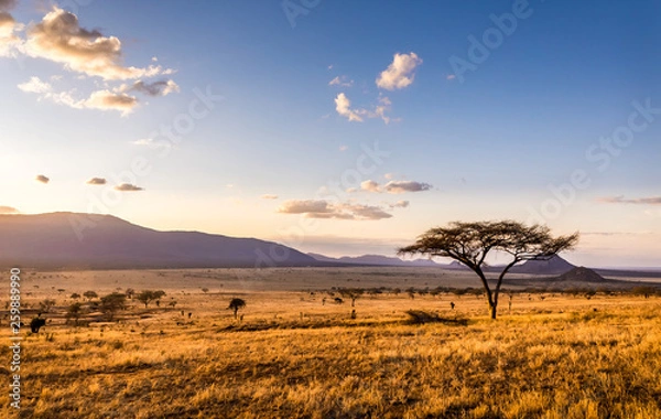 Fototapeta Sunset w Savannah Plains