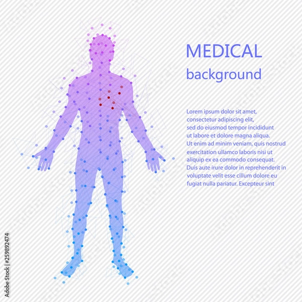 Obraz Medical background. Human anatomy.