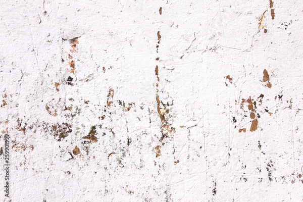 Fototapeta Background from high detailed fragment stone white wall