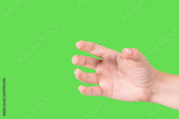 Fototapeta Closeup view of beautiful white female hand as if holding bottle or smartphone or other invisible object isolated on green chromakey background. Horizontal color photography.