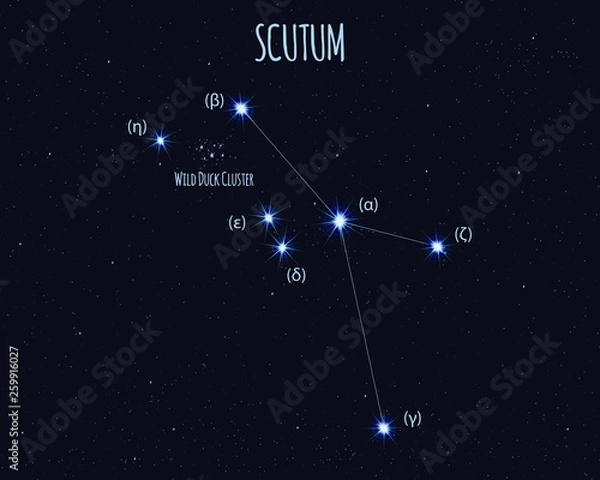 Obraz Scutum (The Shield) constellation, vector illustration with basic stars against the starry sky 