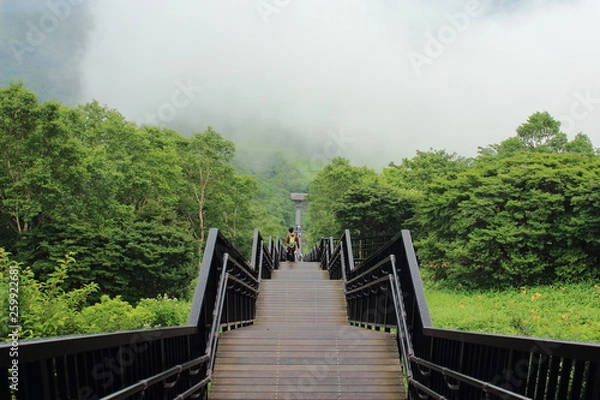 Fototapeta 下り階段