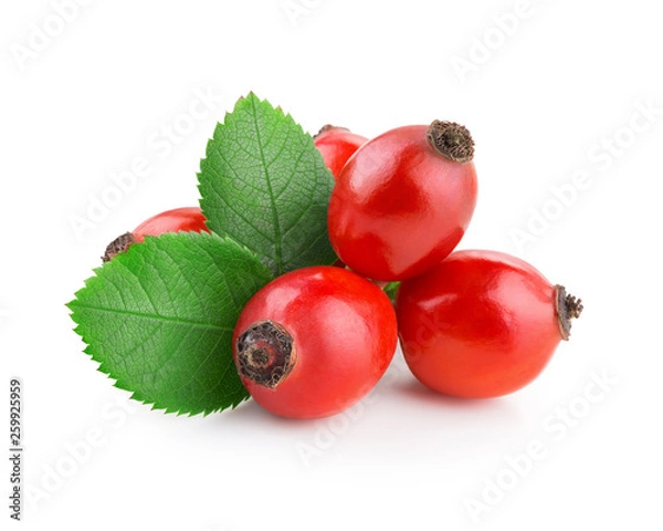 Obraz Rosehip