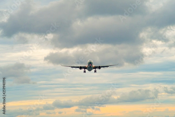 Obraz the plane is landing