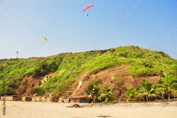 Fototapeta Paragliding over Arambol beach. North Goa, India